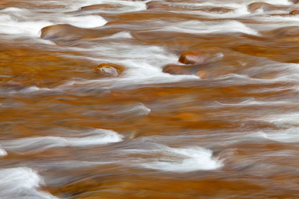 USA, Washington State, Olympic National Park. Rapids in Sol Duc River.